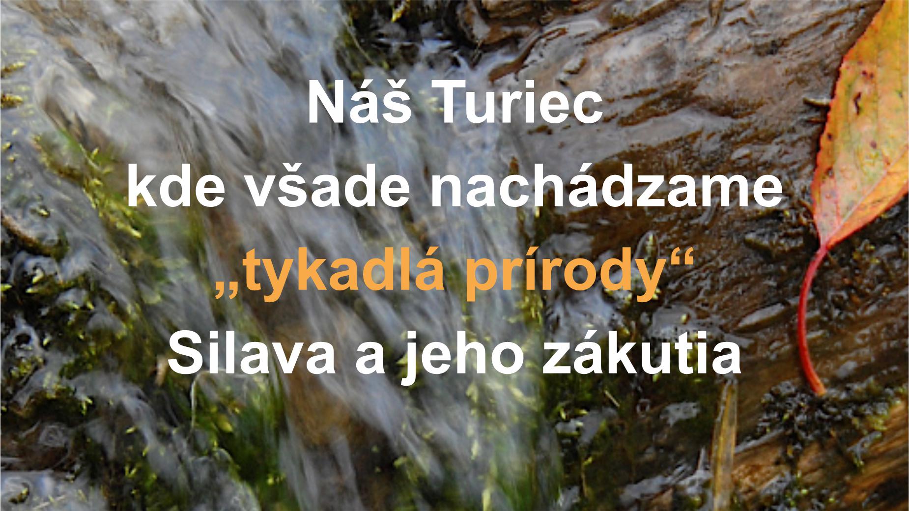 Náš Turiec – Kde všade nachádzame „tykadlá prírody“ – Silava a jeho zákutia